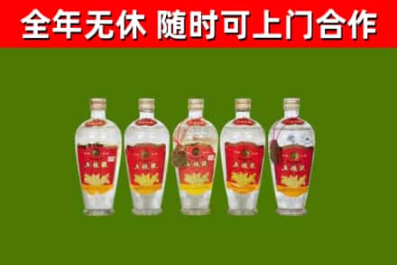 解放回收老五粮液